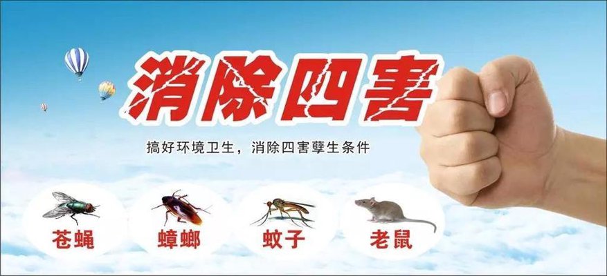 除四害服务全指南：杭州家庭与商户如何科学防治老鼠、蟑螂、蚊蝇